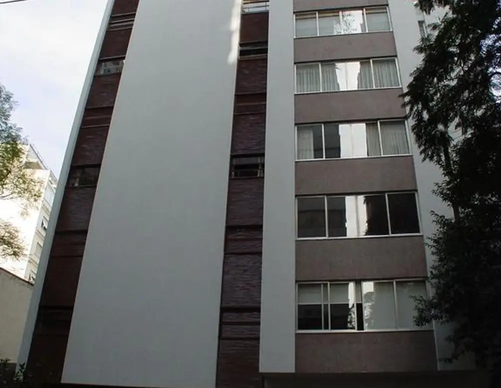 Paladium — foto 4