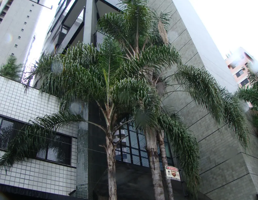 Edificio Gardel