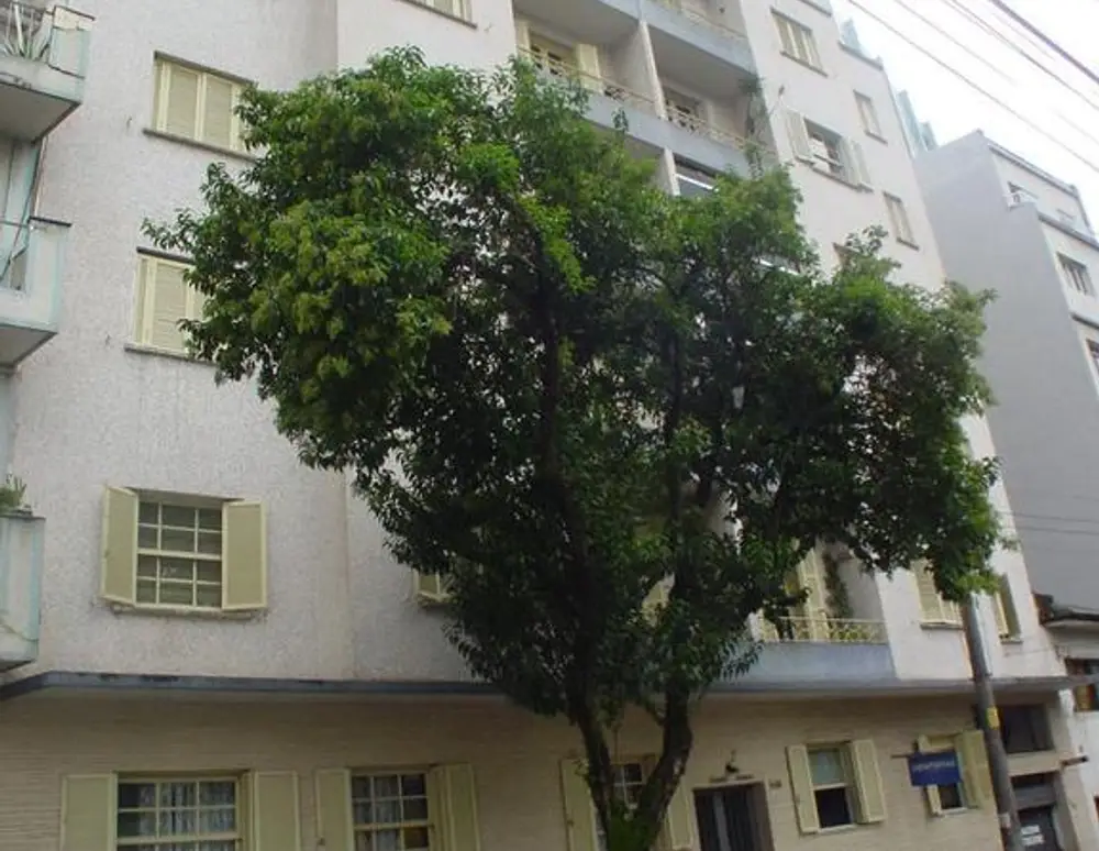 Edificio Tereza Maielaro