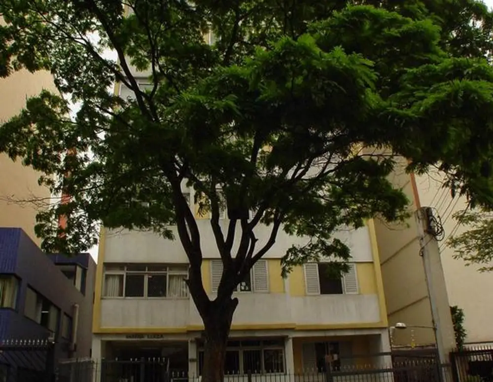 Edificio Maria Luiza — foto 2