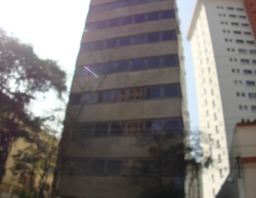 Edificio Domus