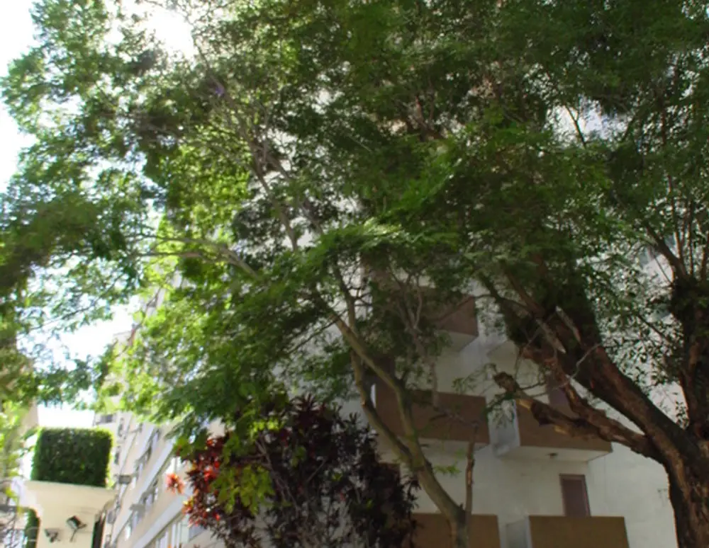 Edificio Fernanda — foto 2