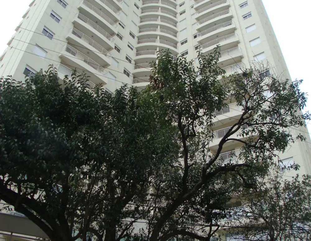Via Ibirapuera