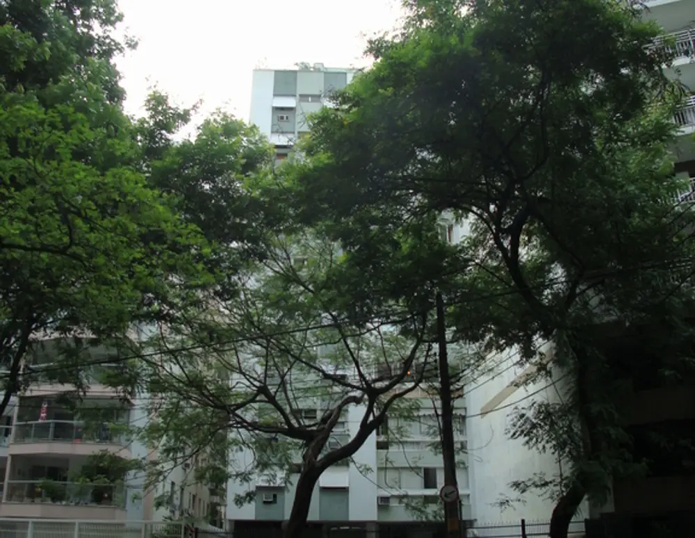 Edificio Maison Verte