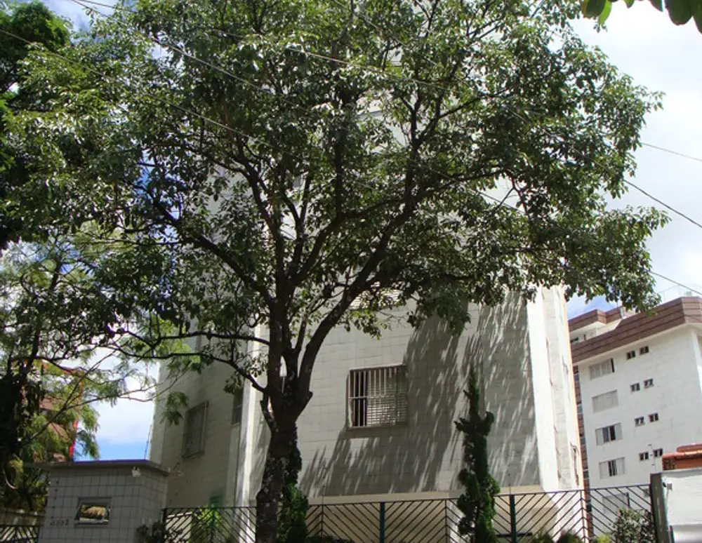 Edificio Jardim Real