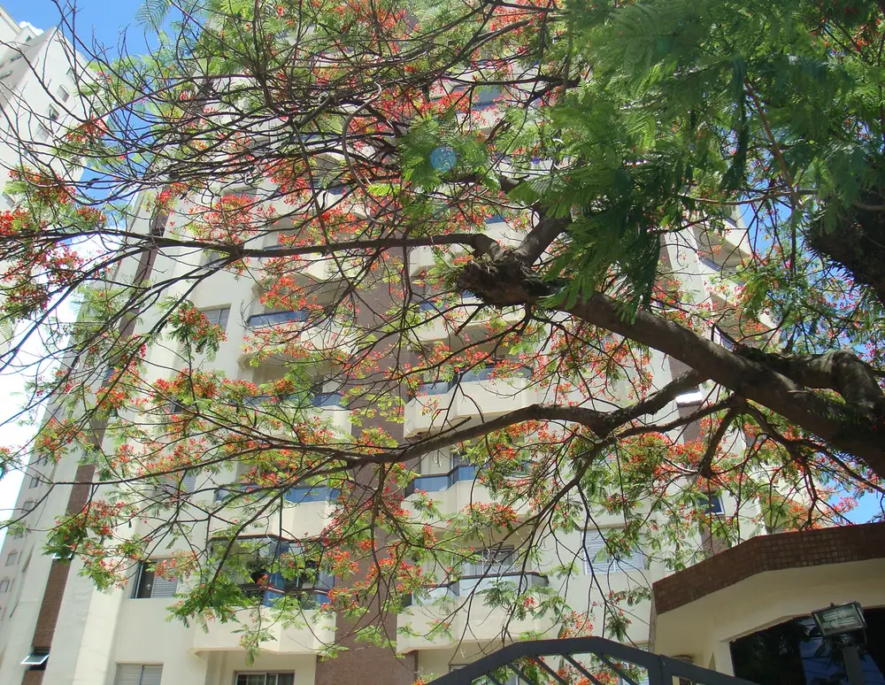 Cond Edif Conj Resid Colossos da Sta Ines