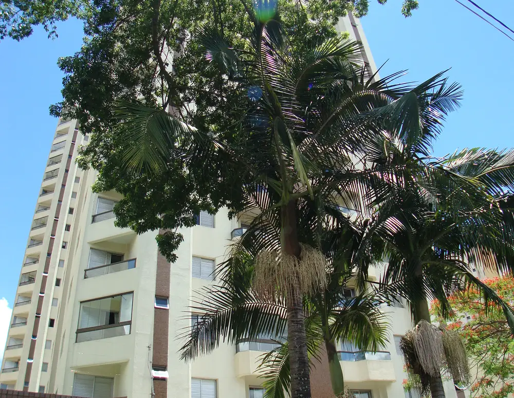 Cond Edif Conj Resid Colossos da Sta Ines — foto 2