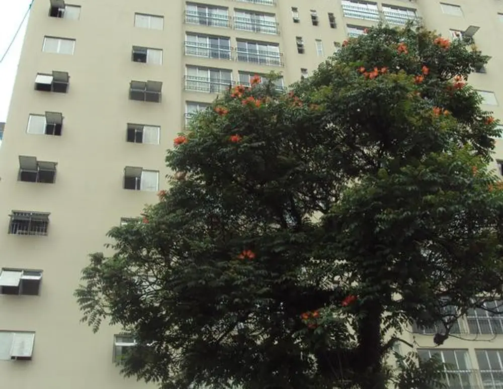 Edificio Rio Mira — foto 3