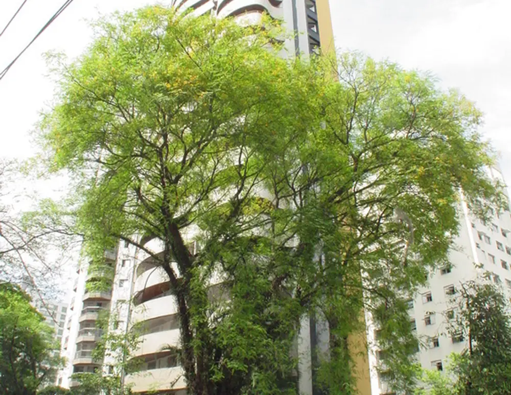 Edificio Arte I