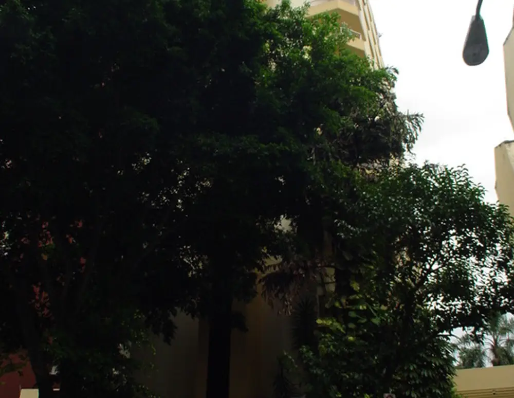 Edificio Suecia — foto 2