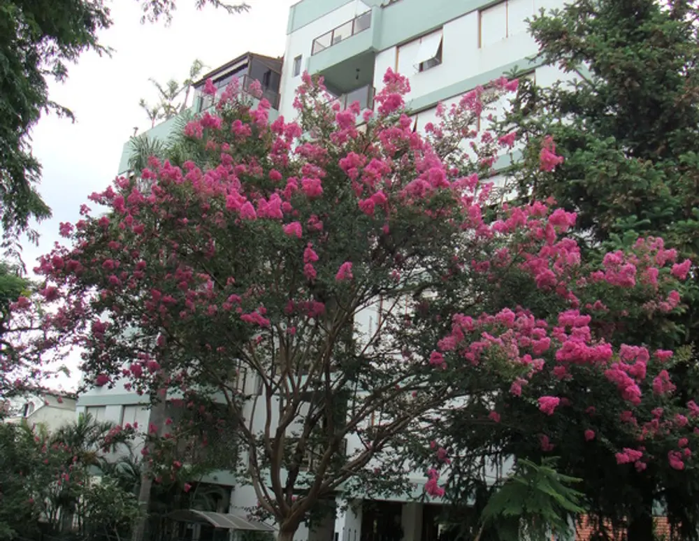 Edificio Jardim Apia