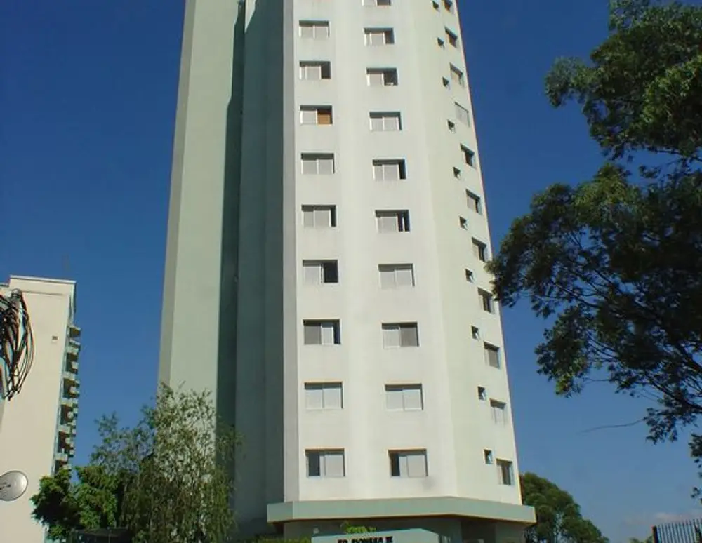 Pioneer Iii — foto 2