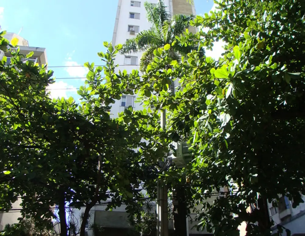 Edificio Antonio de Albuquerque