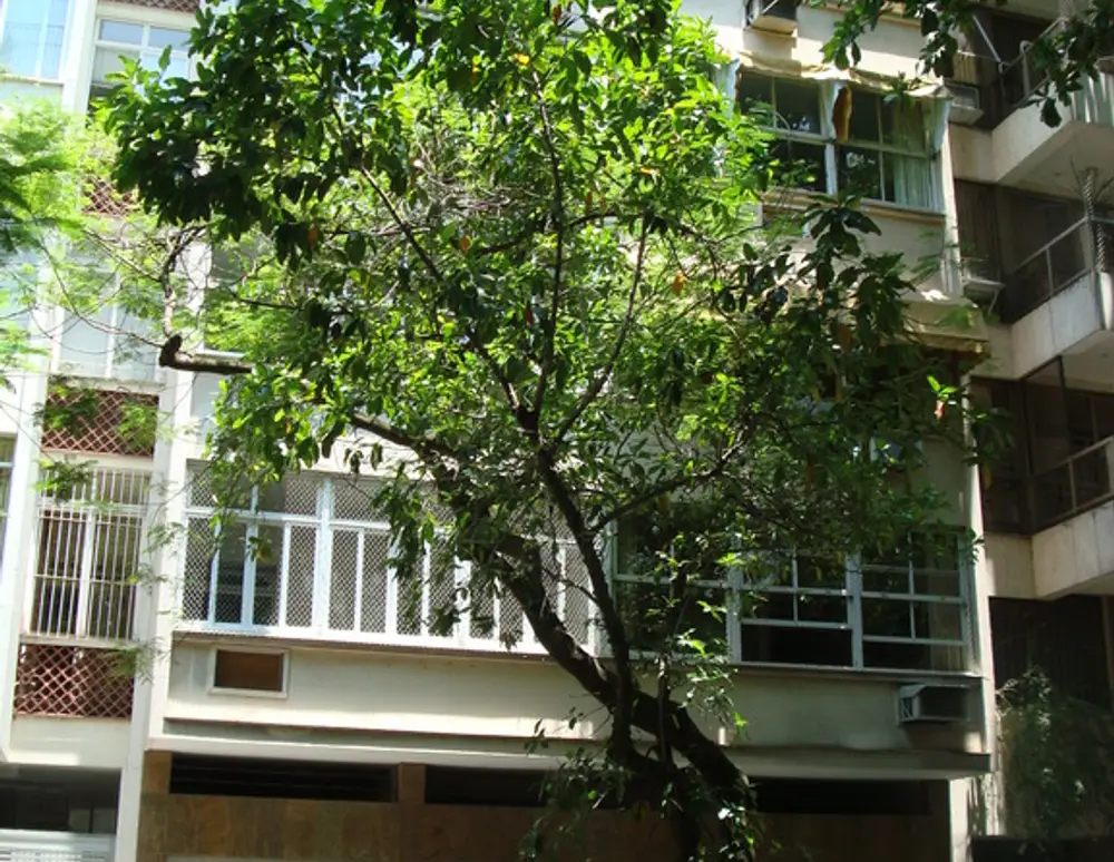 Edificio Redentor