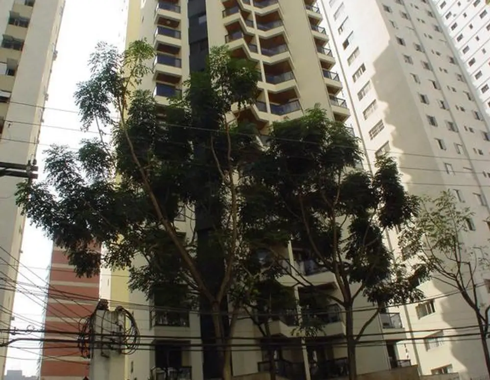 Special Life Ibirapuera — foto 3