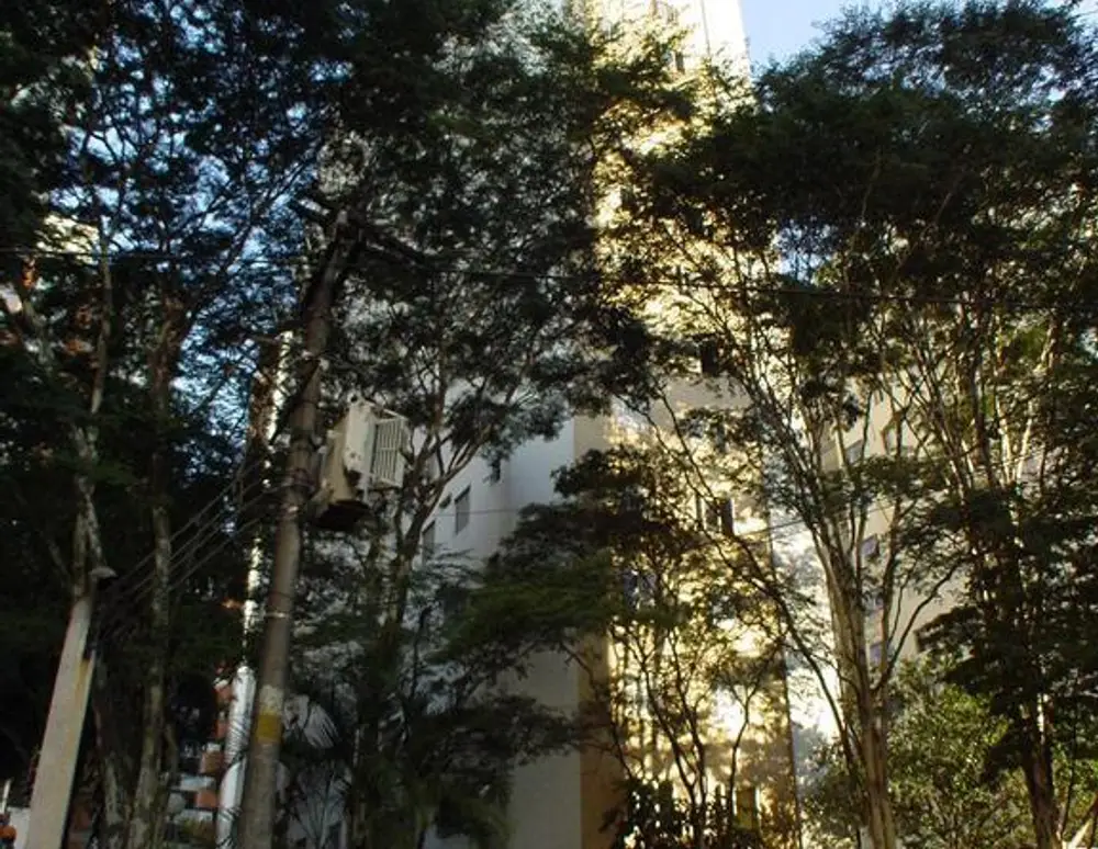 Guaimbé — foto 2