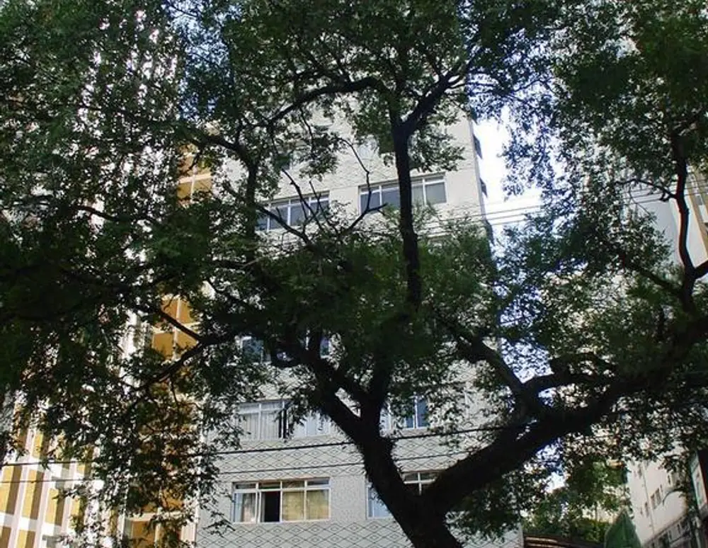 Edificio Inambui — foto 2