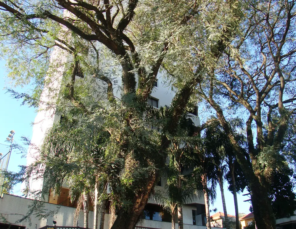 Edificio Angra dos Reis — foto 2