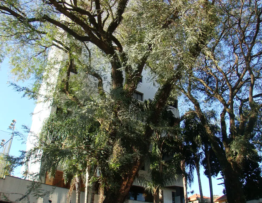 Edificio Angra dos Reis — foto 3