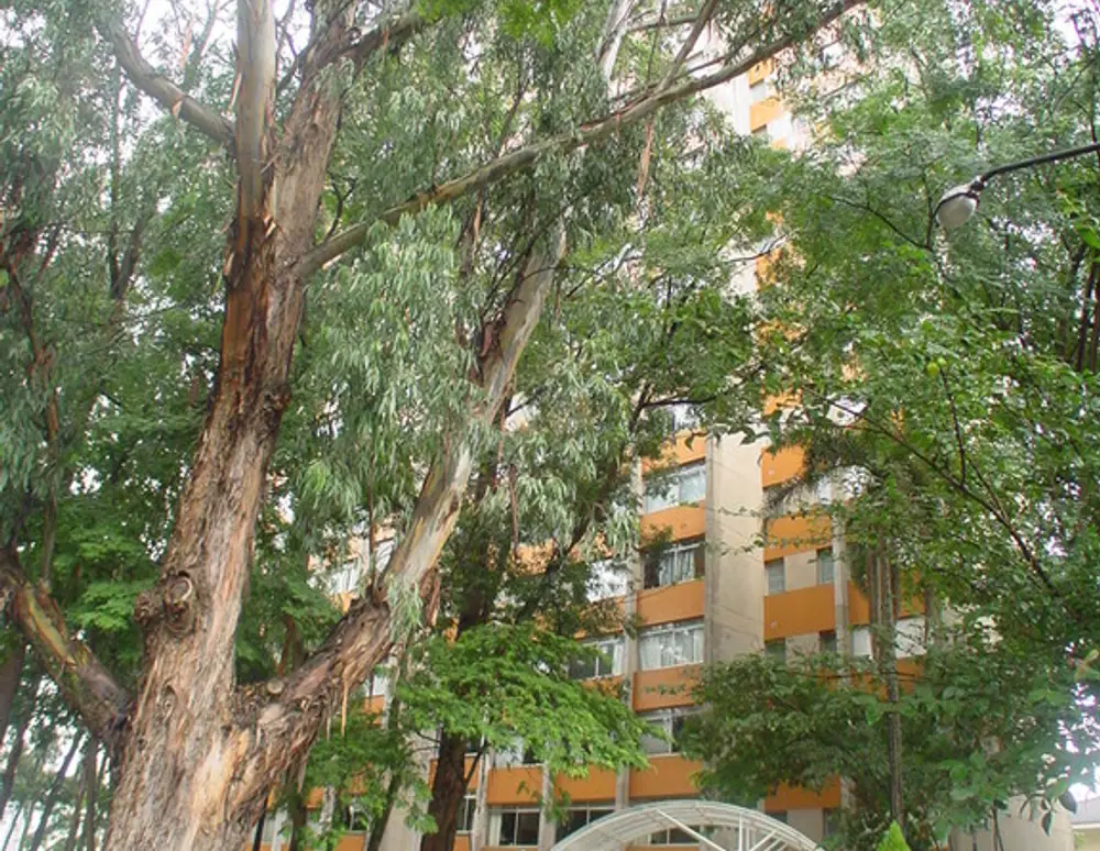 Vila Verde