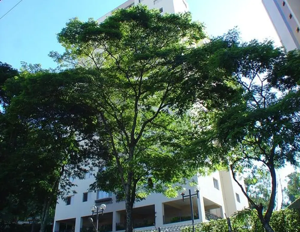 Residencial Saint German — foto 2