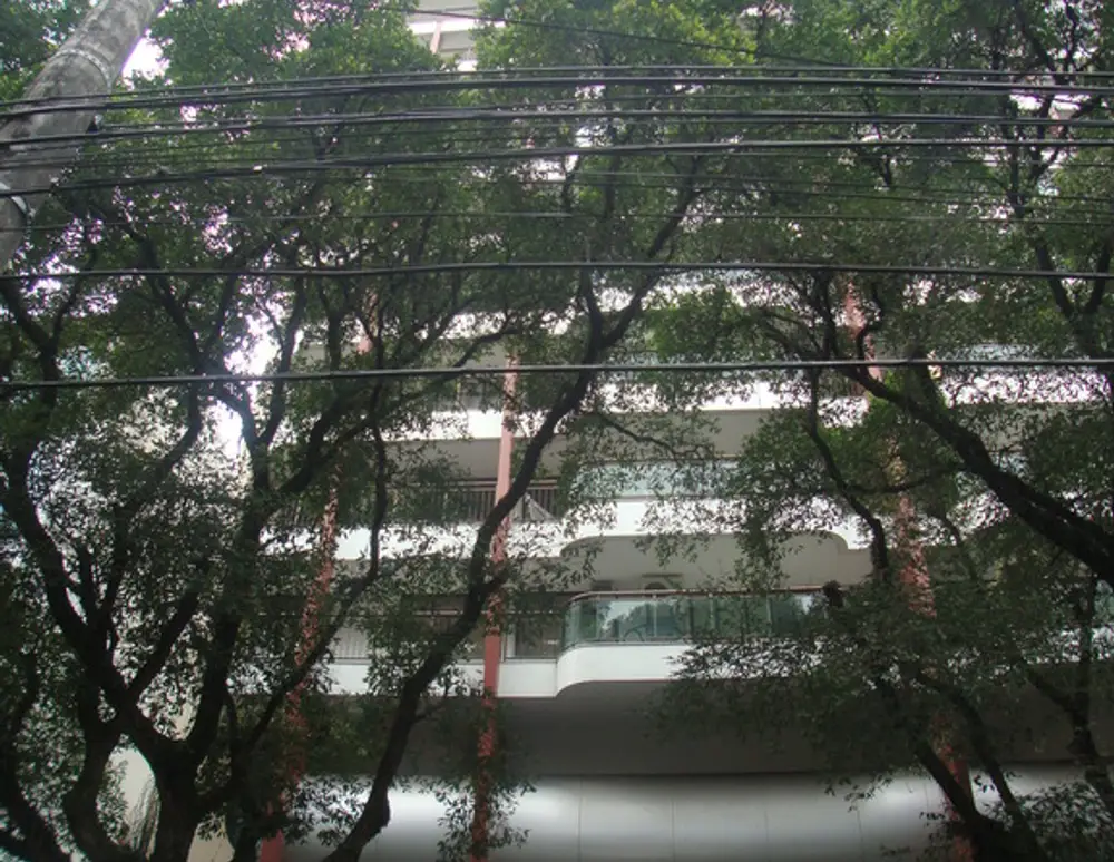 Edificio Calle Fenice