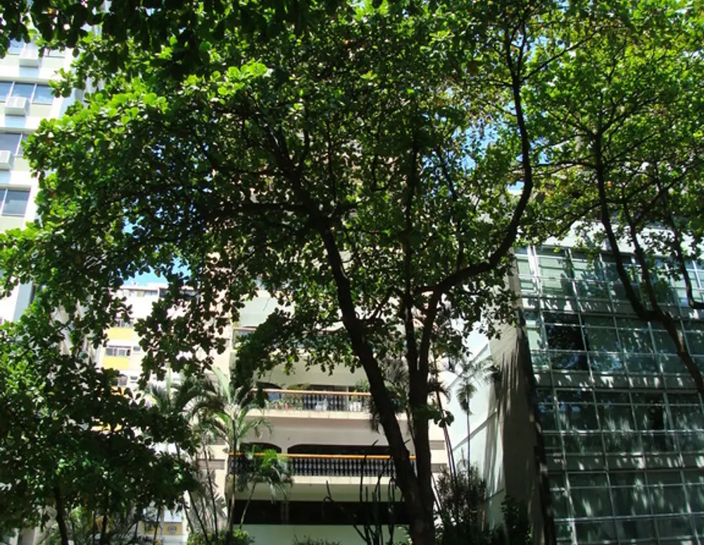 Edificio Duque de Chartres