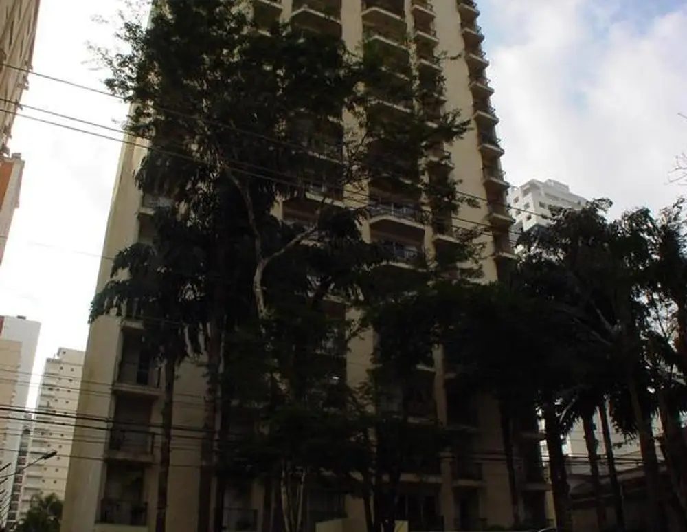 Culiman — foto 2