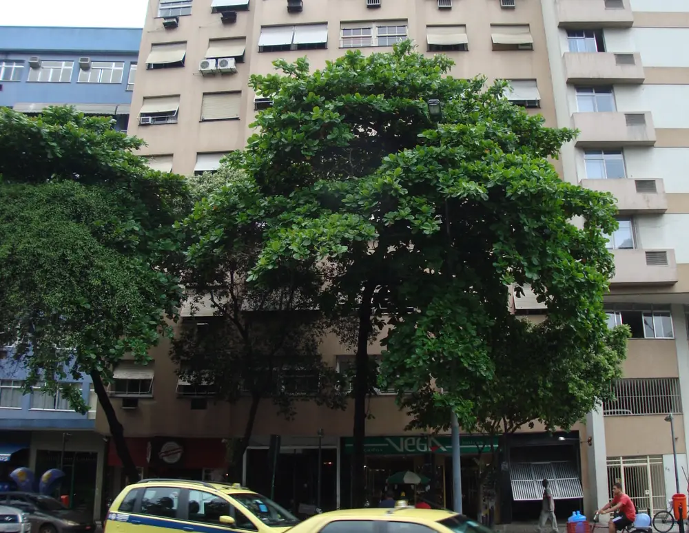 Edificio Pio Xii — foto 2