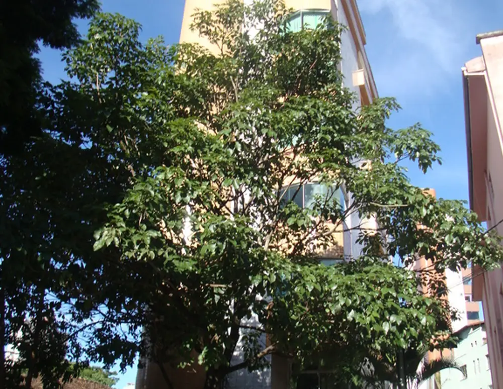 Condominio do Edificio Nossa Senhora de Guadalupe