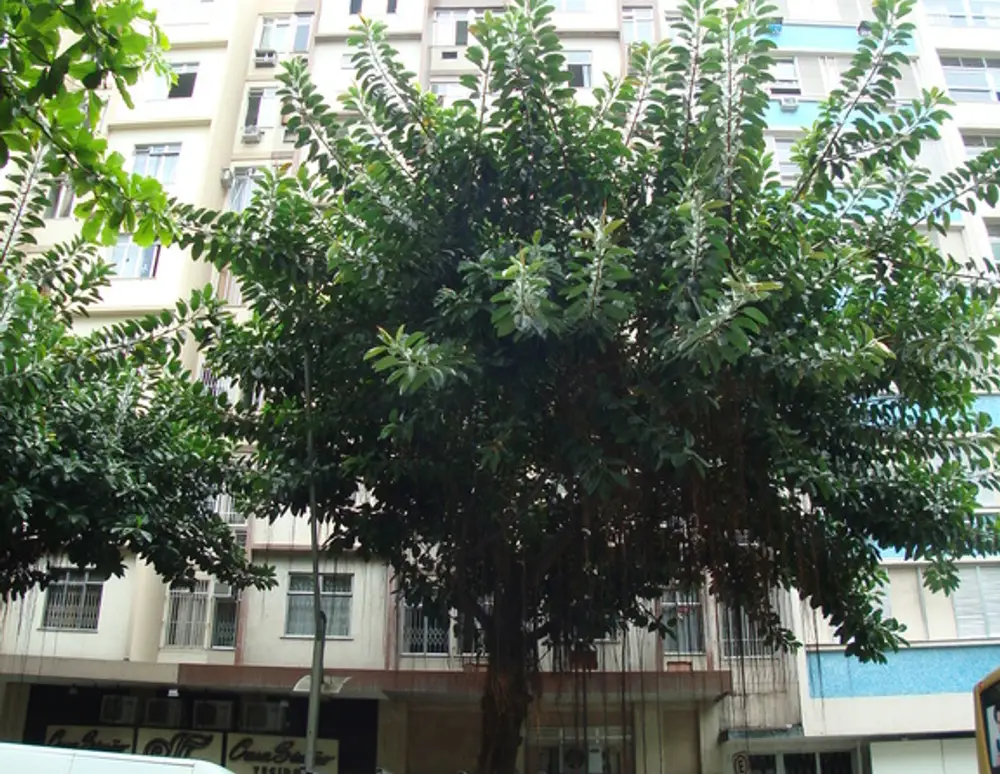 Edificio Joaquim Nabuco