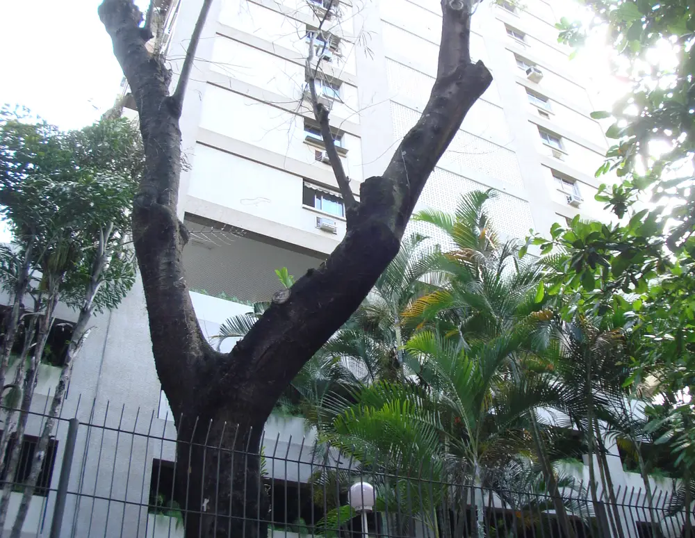 Edificio Gal Alberto Dias dos Santos — foto 2