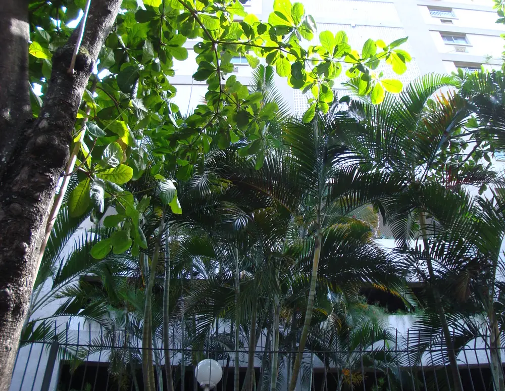 Edificio Gal Alberto Dias dos Santos — foto 3