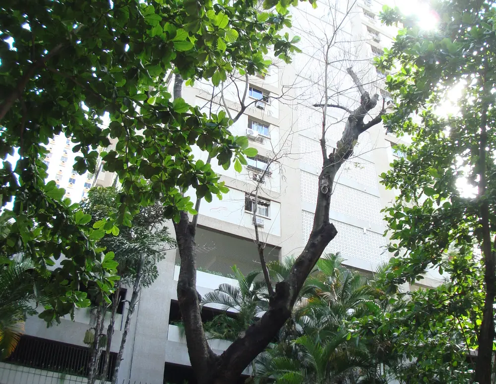 Edificio Gal Alberto Dias dos Santos — foto 4