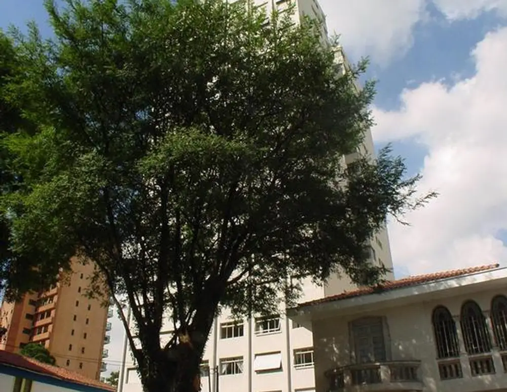 Edificio Jardim San Remo