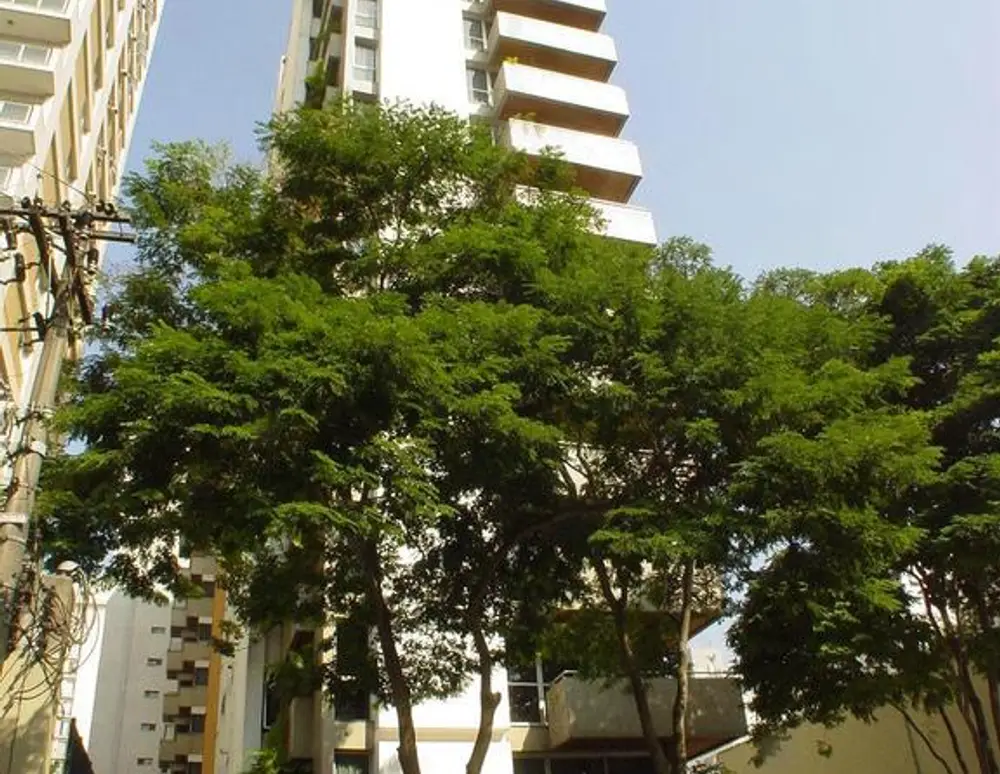 Edificio Taiama — foto 2