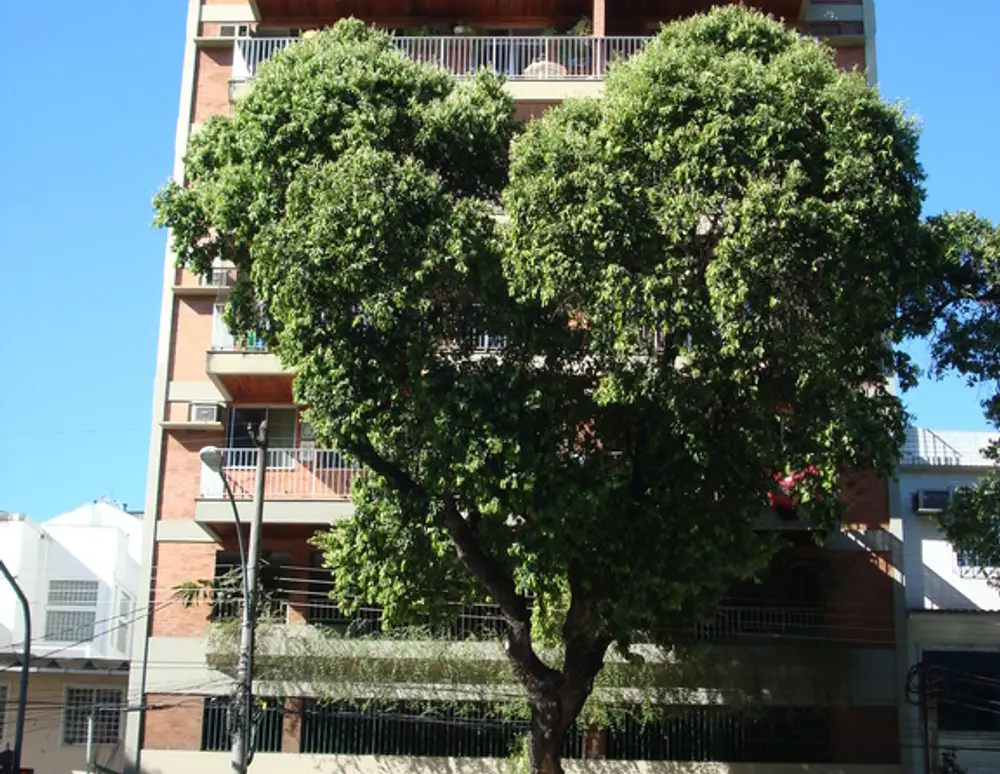 Edificio Opus Carlos Gomes