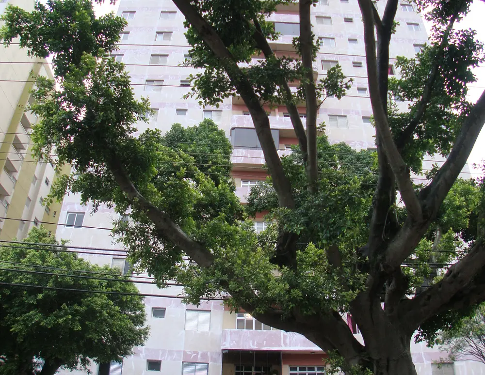 Edificio Cipriano M da Conceicao