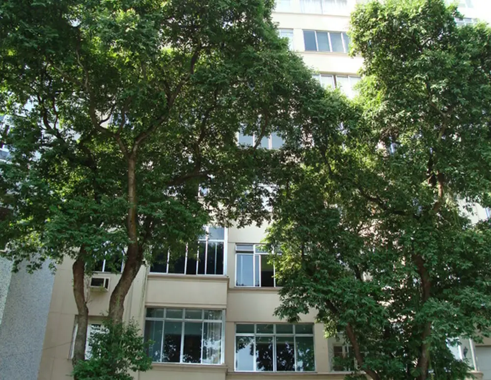 Edificio Guairaca