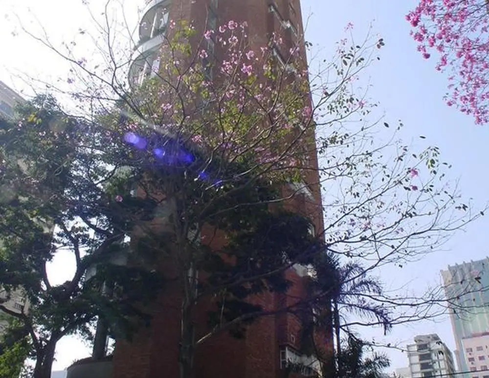 Edifício Salvador Cardoso