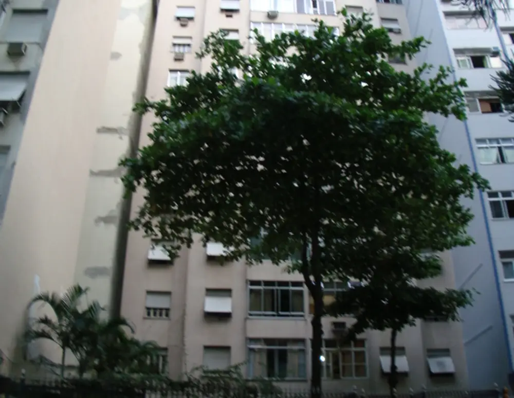 Edificio Marimba