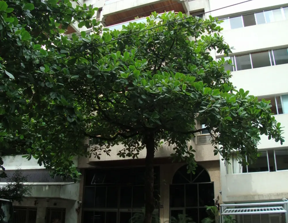 Edificio Giovanna