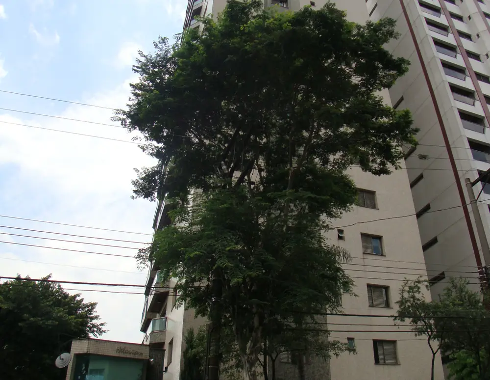 Edificio Hilarion