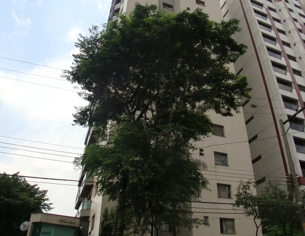 Edificio Hilarion — foto 2