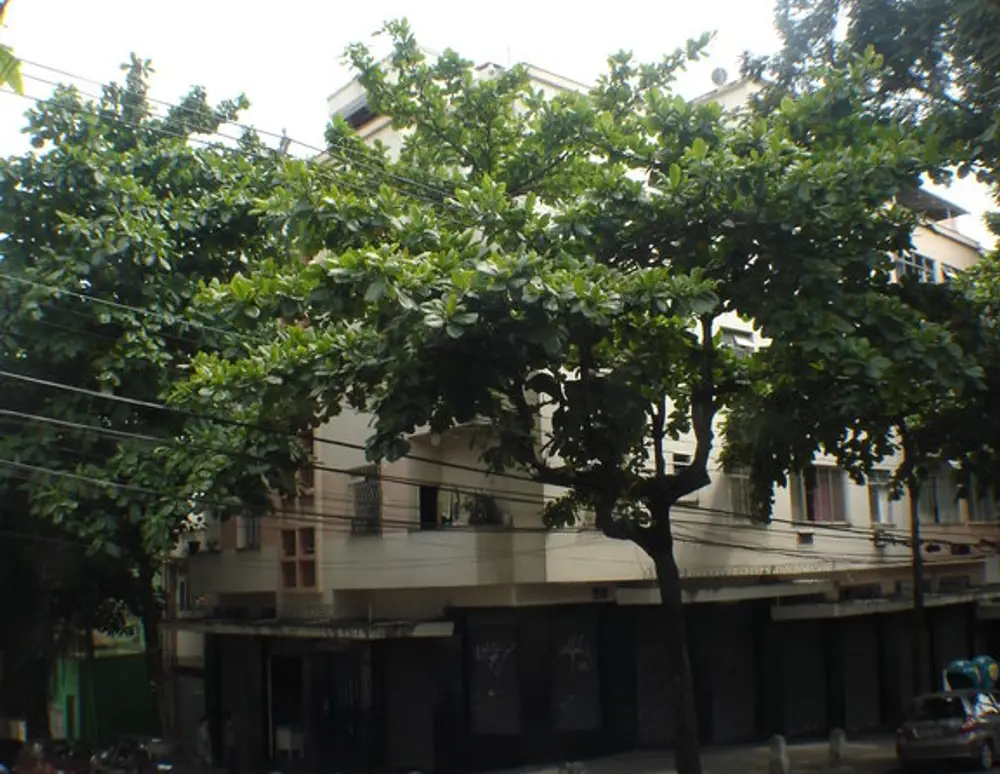 Edificio de Luca