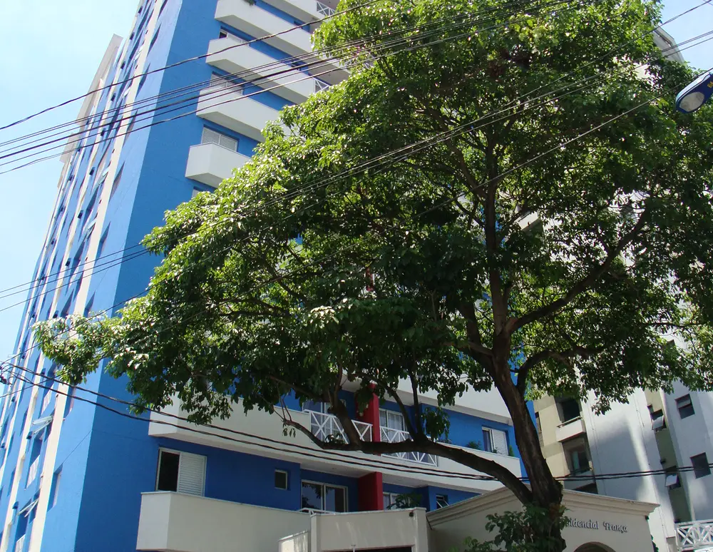Edificio Franca
