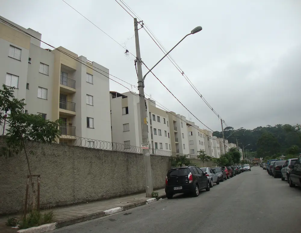 Vida Aurea
