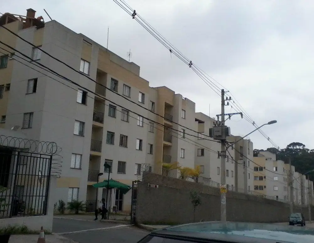 Vida Aurea — foto 2