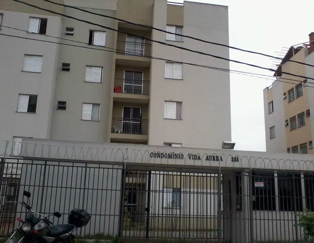 Vida Aurea — foto 3