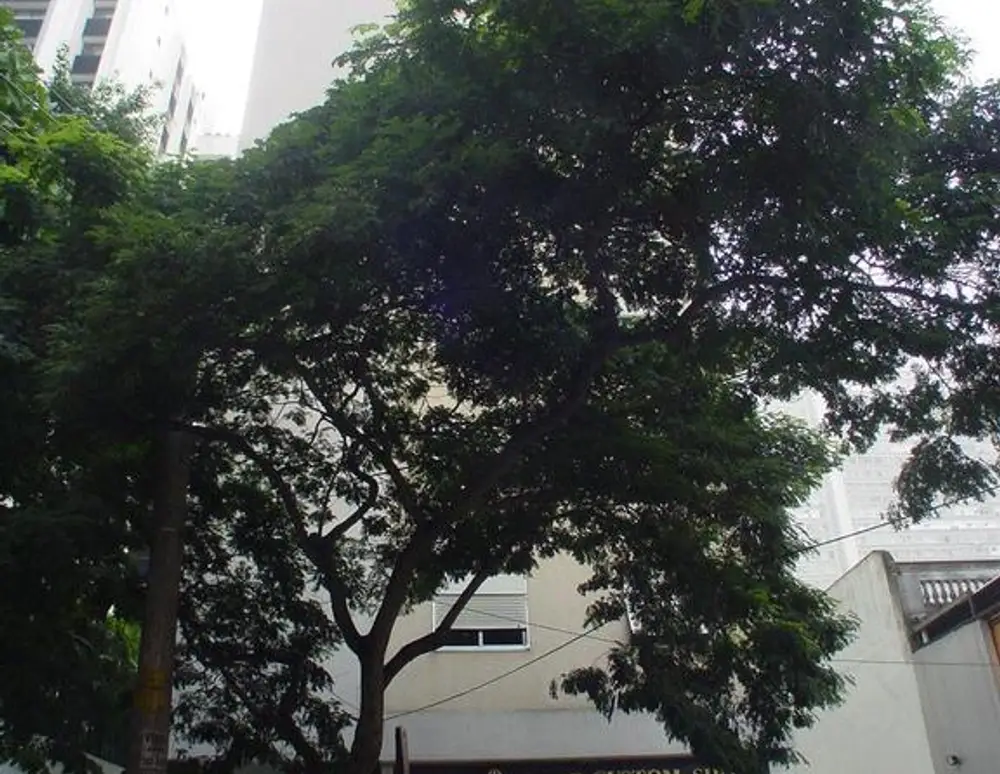 Edificio Maria Elizabeth — foto 2